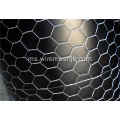 1 &#39;&#39; Hot-dip Galvanized Hexagonal Wire Nettings